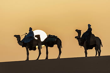 velbloudí jezdci, poušť Sahara, západ slunce, tamanrasset, Alžírsko, siluety, poušť, velbloudi, cestovat, dobrodružství, krajina
