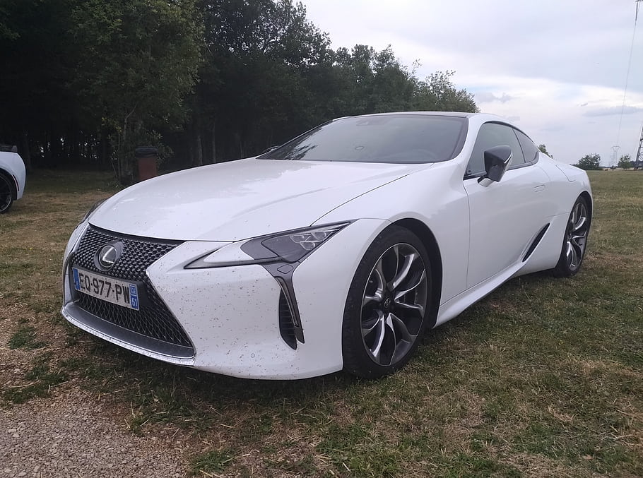 lexus, 500 lc, bílý, auto, sportovní, kupé, venku, tráva, stromy, licence, deska