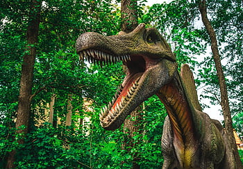 dinosaurus, dinosauří park, Modelka, prehistorie, prehistorický, zvíře, dravec, gad, zuby, nebezpečný, lov