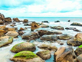 krajinářské fotografie, mechový skály, tělo z vody, Serene Seascape, jemné vlny, zatažená obloha, pobřežní scenérie, přírodní krajina, skalnaté pobřeží, pohled na oceán, klidné scény