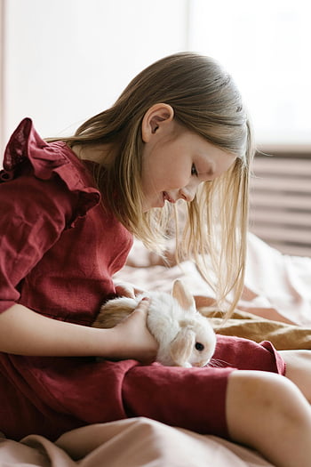 cute girl, fluffy white rabbit, domestic rabbit, young girl, red dress, pet rabbit, indoors, gentle holding, cute pet, indoor photo, child with rabbit