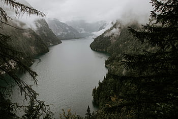 lake, misty mountains, dense forest, serene water, aerial view, scenic landscape, natural beauty, foggy atmosphere, tranquil setting, outdoor scenery, mountain lake