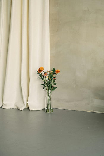 oranžové květy, skleněná váza, moderní dekor, Minimalistický interiér, stojící na podlaze, jasná váza, moderní design, vnitřní květiny, Jednoduchý výzdoba, květinové aranžmá, domácí výzdoba