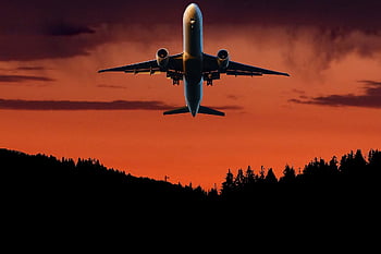 sunset, nature, forest, plane, flight, wings, landscape, trees, mountain, orange, dusk