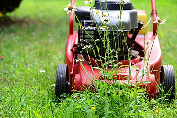 taglia erba, falciare, giardinaggio, prato, verde, giardino, erba, Tagliare, tecnologia, natura, manutenzione del giardino