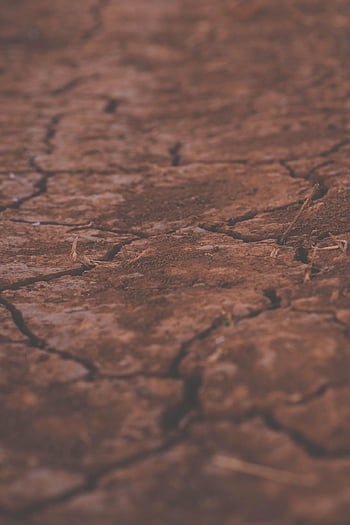 cracked Soil, soil, ground, dry Soil, drought, land, clod, texture, dry, floor, pattern