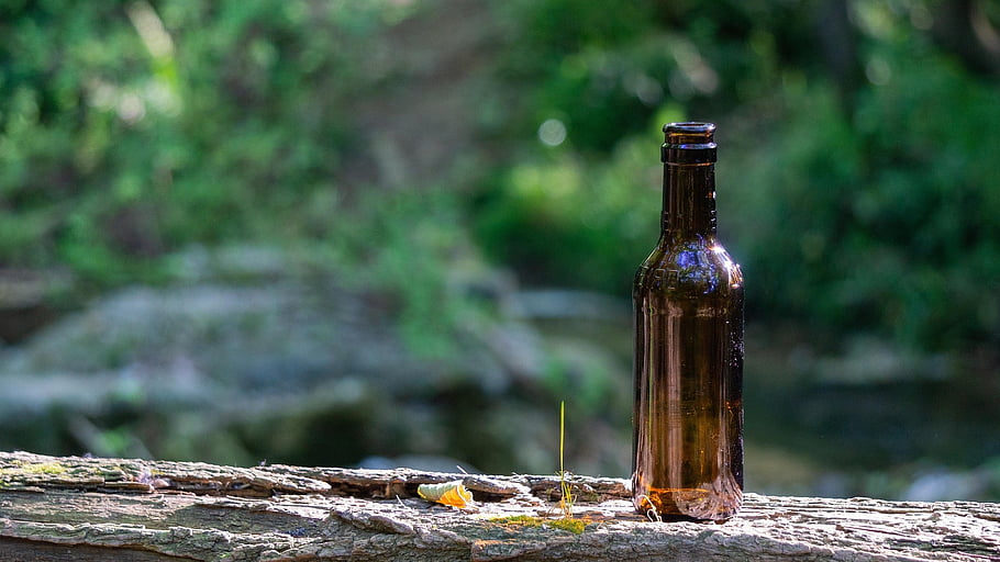 pivo, láhev, sklenka, občerstvení, pití, večírek, alkohol, napít se, Studený