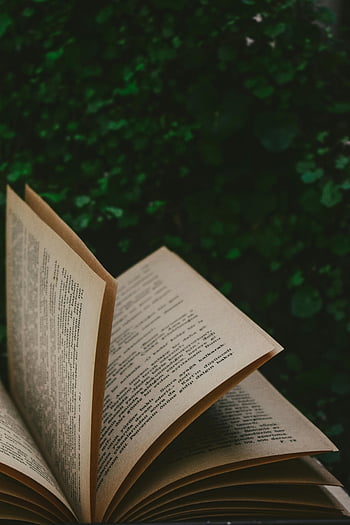 otwarta książka, Przewracanie stron, teksturowane zielone tło, tematy literackie, czytanie, literatura, strony książki, otwarte strony, zielone tło, fotografia książkowa, Projekt książki