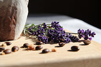 levander, lavender, muffin, chocolate, coffee, beans, break, pastry, bake, bakery, food