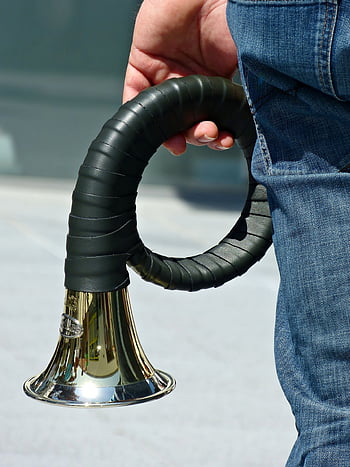 horn, hunting Horn, blowers, brass Instrument, musical Instrument