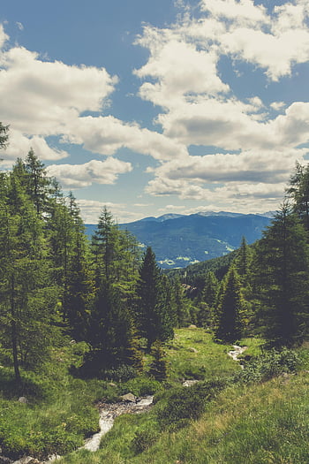 zelené borovice, modrá obloha, bílé mraky, svěží zelený les, hory, terento, Itálie, idylická krajina, přírodní scenérie, Venkovní krása, klidné prostředí