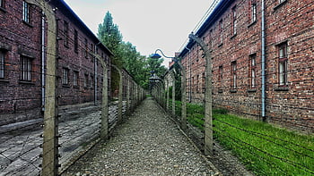 auschwitz koncentrationslejr, pigtrådhegn, mursten bygninger, historisk opfattelse, overskyet himmel, grå beton struktur, Holocaust -sted, anden Verdenskrig, Nazi -Tyskland, mindesmærke, koncentrationslejer