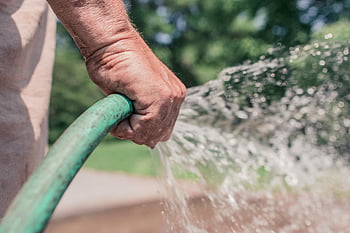 hand holding hose, green hose, watering garden, outdoor gardening, daytime watering, close-up hand, garden hose, outdoor activity, water spray, garden care, daytime garden