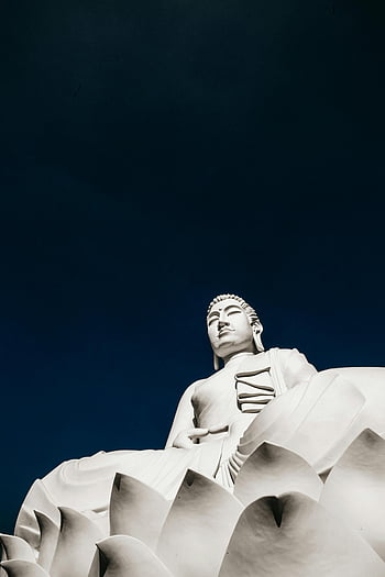 Buddha statue, ancient stone relief, thoughtful Buddha, low angle view, clear blue sky, stunning Buddha, stone sculpture, religious art, spiritual figure, serene expression, white statue