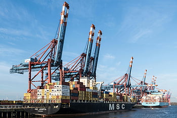 container ships, Hamburg port, shipping activity, cranes, MSC, docked ships, busy port, maritime logistics, container terminal, port operations, international shipping