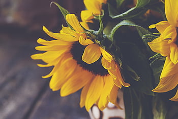 flower, arrangment, table, bouquet, colorful, fresh, rustic, floral, festive, summer, bloom