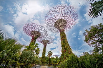 supertree lund, arkitektur, milepæl, bygning, skyskraber, bestemmelsessted, struktur, haver ved bugten, naturpark, singapore