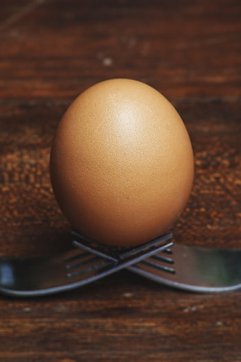 eggs, ingredients, baking, food, egg Carton, raw, cooking, healthy, eggshells, protein, whisk