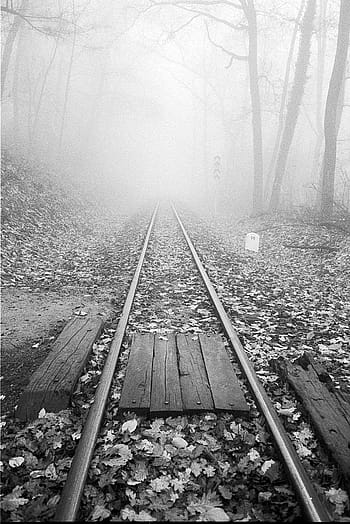 ferrovia, nebbia, Olympus MJU II, bianco e nero, autunno, foresta, rotaie, ilford hp5, fotografia cinematografica, Pellicola 35mm, macchina fotografica analogica