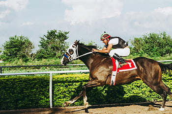 muž jezdecký kůň, žokej, koňské dostihy, plná rychlost, slunečný den, akce výstřel, venkovní sporty, jezdecký sport, závodní dráha, napínavý okamžik, soutěž