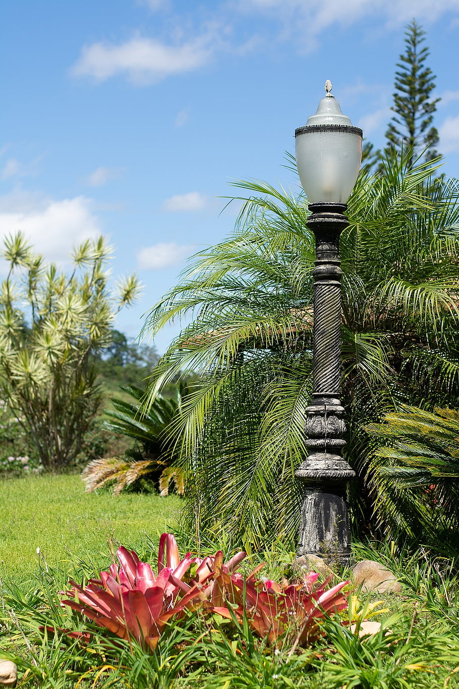 nature, the Post Lighting, lighting, lamp, light, green
