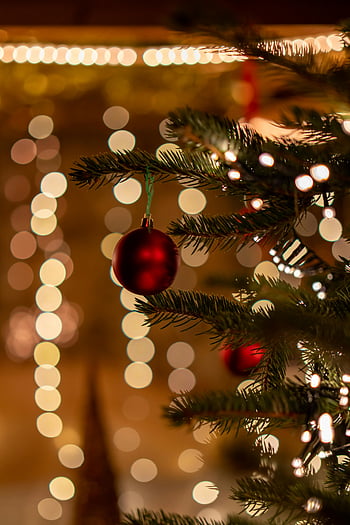 julgran, röda prydnadsföremål, blinkande ljus, festlig miljö, närbild, dekorerade julgran, semesterinredning, julpynt, bokeh lampor, festmätare, julsäsong