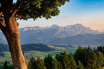 tree, landscape, wallpaper Hd, mountains, alps, appenzell, beautiful Wallpaper, free Wallpaper, switzerland, windows Wallpaper, laptop Wallpaper