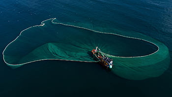 bateau, bateau de pêche, net, mer, vaste, large, la nature, pêche, vue aérienne