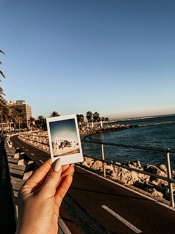 rannikkoalue, polaroidikuva, auringonlaskun taustaa, vesistö, luonnonkaunis näköala, käsin pitävä valokuva, Seaside Promenade, palmuja, ranta, ilta taivas, kaupunkien rannikko