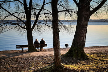 málo, spolu, relaxovat, senioři, Pes, Na procházku, užívat si, jezero, zvíře, břeh řeky, banka